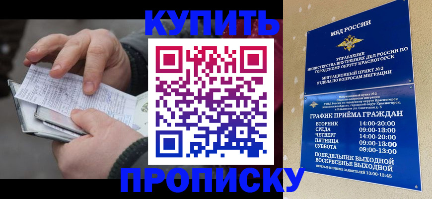 временная регистрация недорого в Холмске